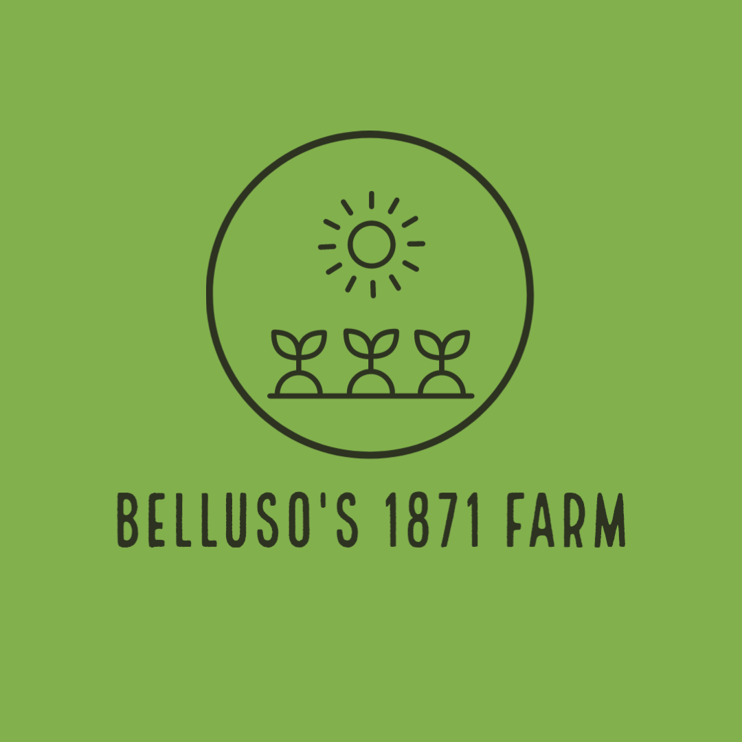 Belluso's 1871 Farm
